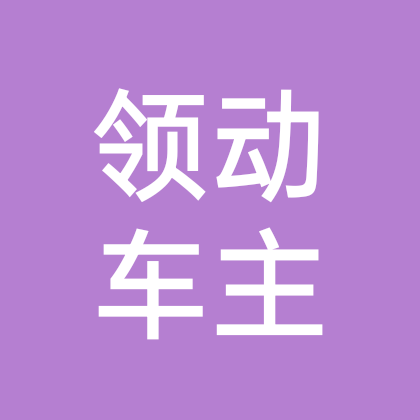 领动车主日常交流群 群聊头像