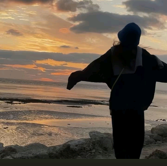 贞贞不空军🎣  2群 群聊头像