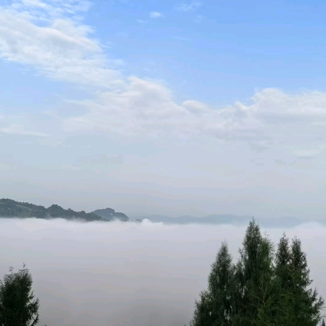 端午节逮龙虾黄鳝 群聊头像