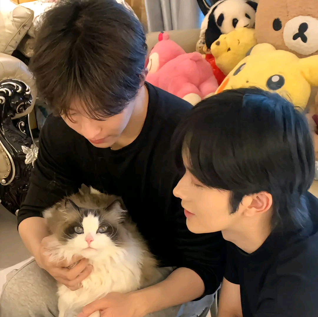 🟣幸福的秘诀是星邱（〜^∇^)〜 群聊头像