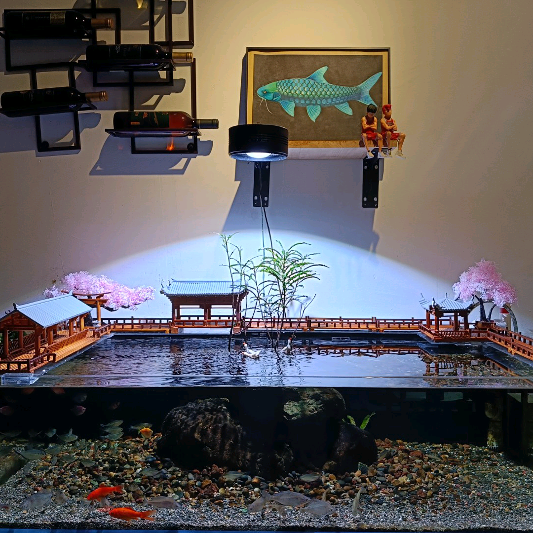 非凡养鱼造景（2）🔒 群聊头像