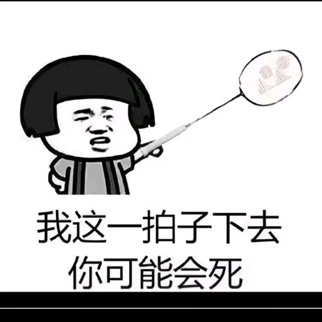 颍上羽毛球 群聊头像