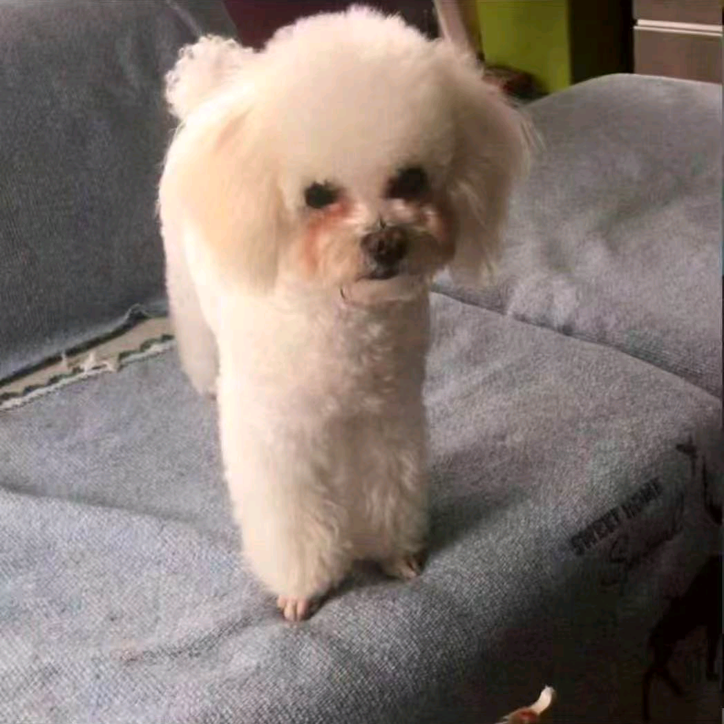 陈奕恒素材群 群聊头像