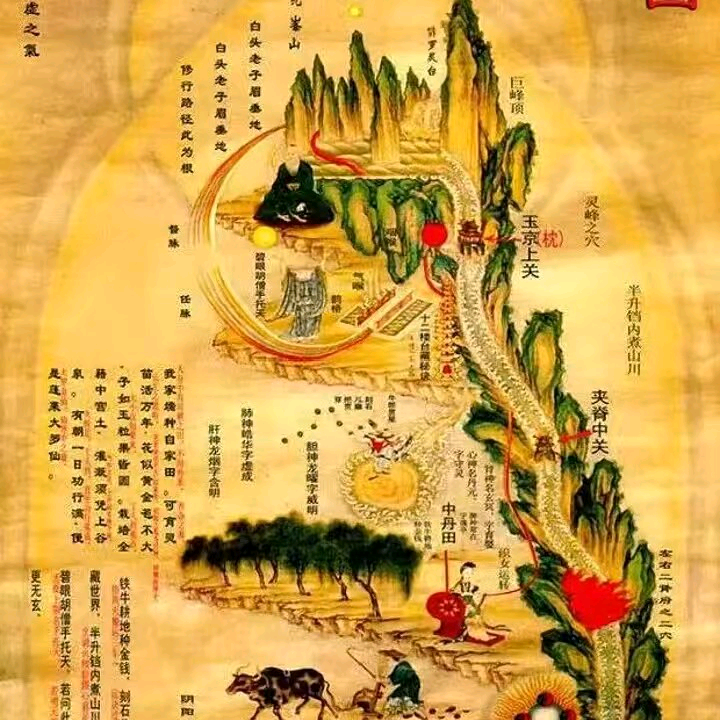 亲傳口授金丹大道真谛 群聊头像