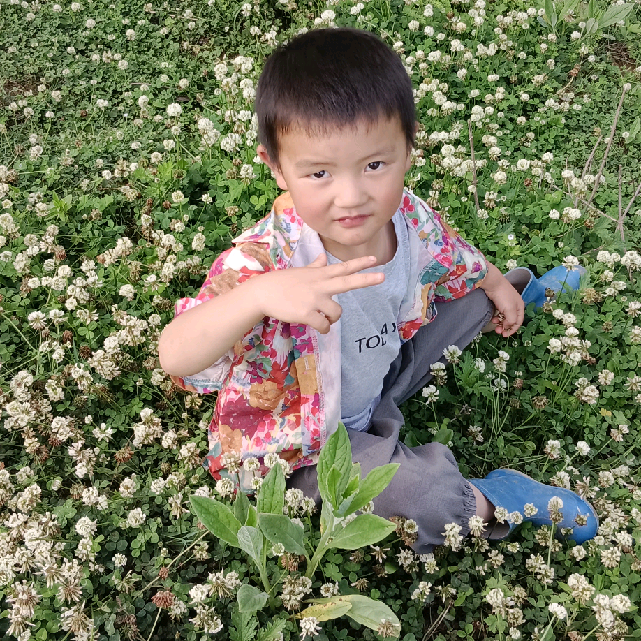 小芒果 群聊头像