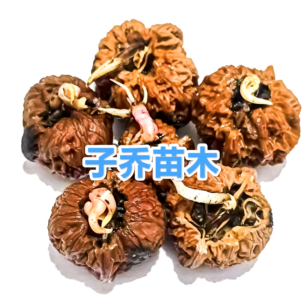 核气生财1群 群聊头像