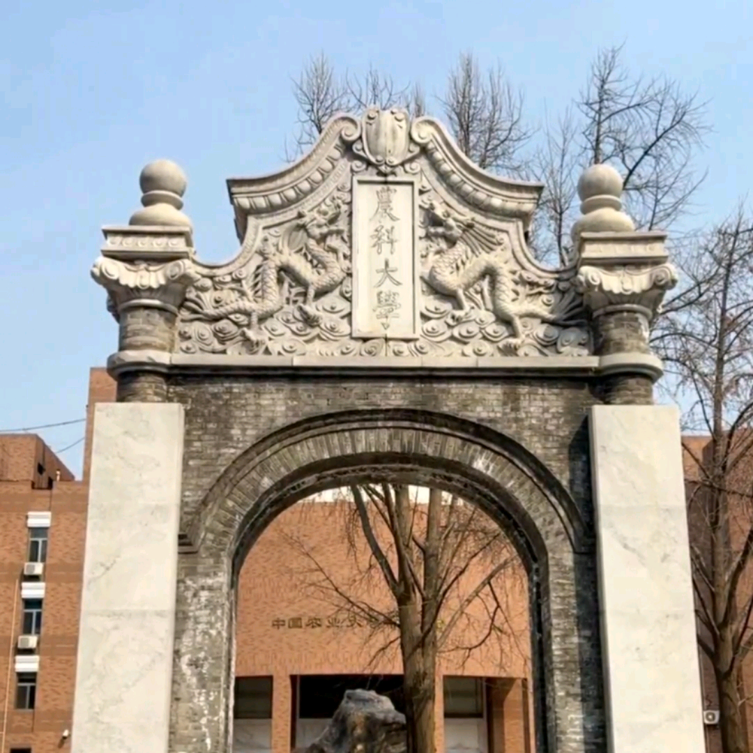 中国农业大学26新生群 群聊头像
