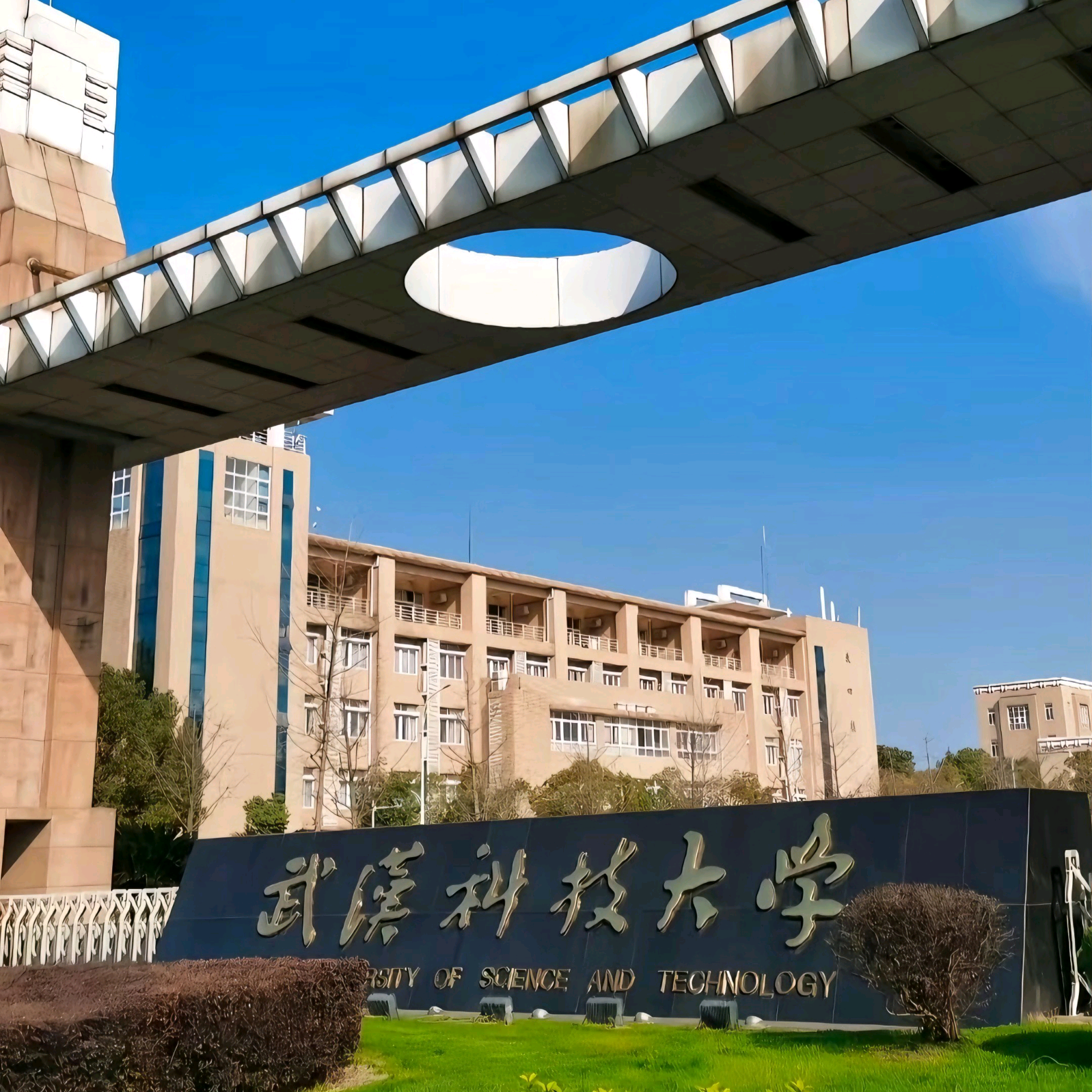 武汉科技大学2026级新生群2 群聊头像