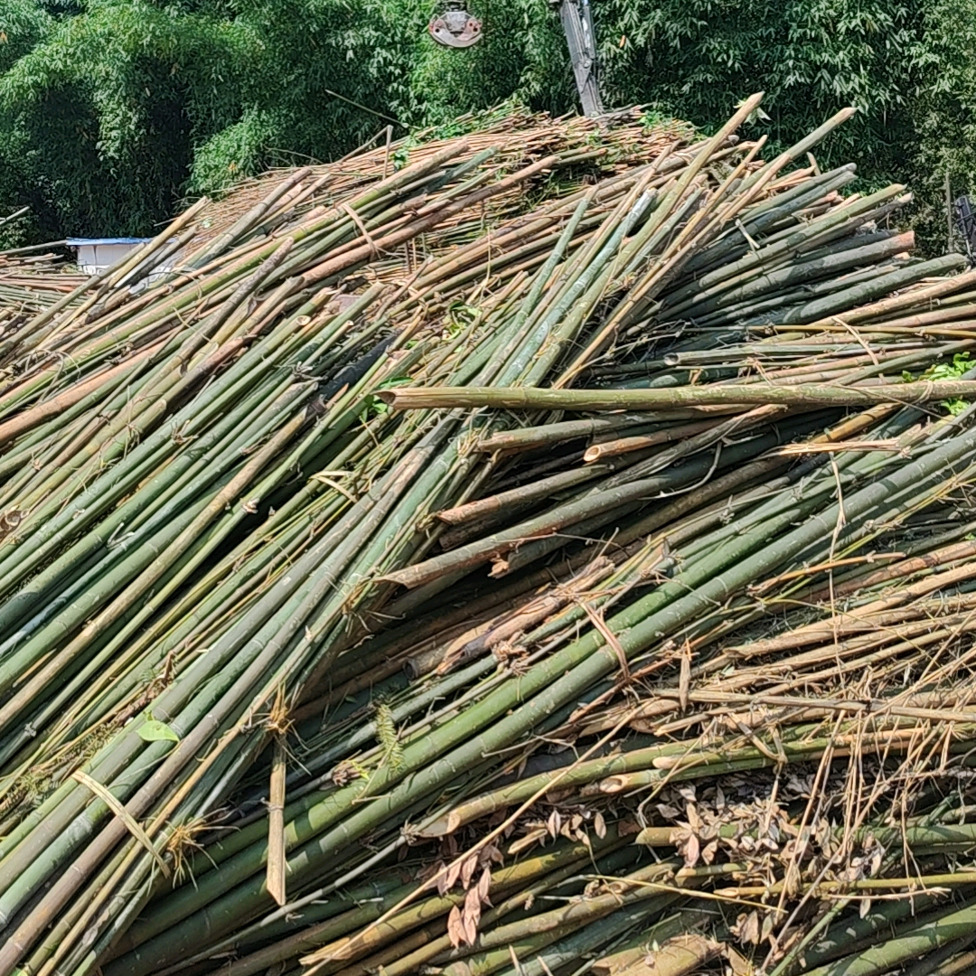 原竹收购交流 群聊头像