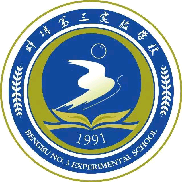 蚌埠第三实验学校总群 群聊头像