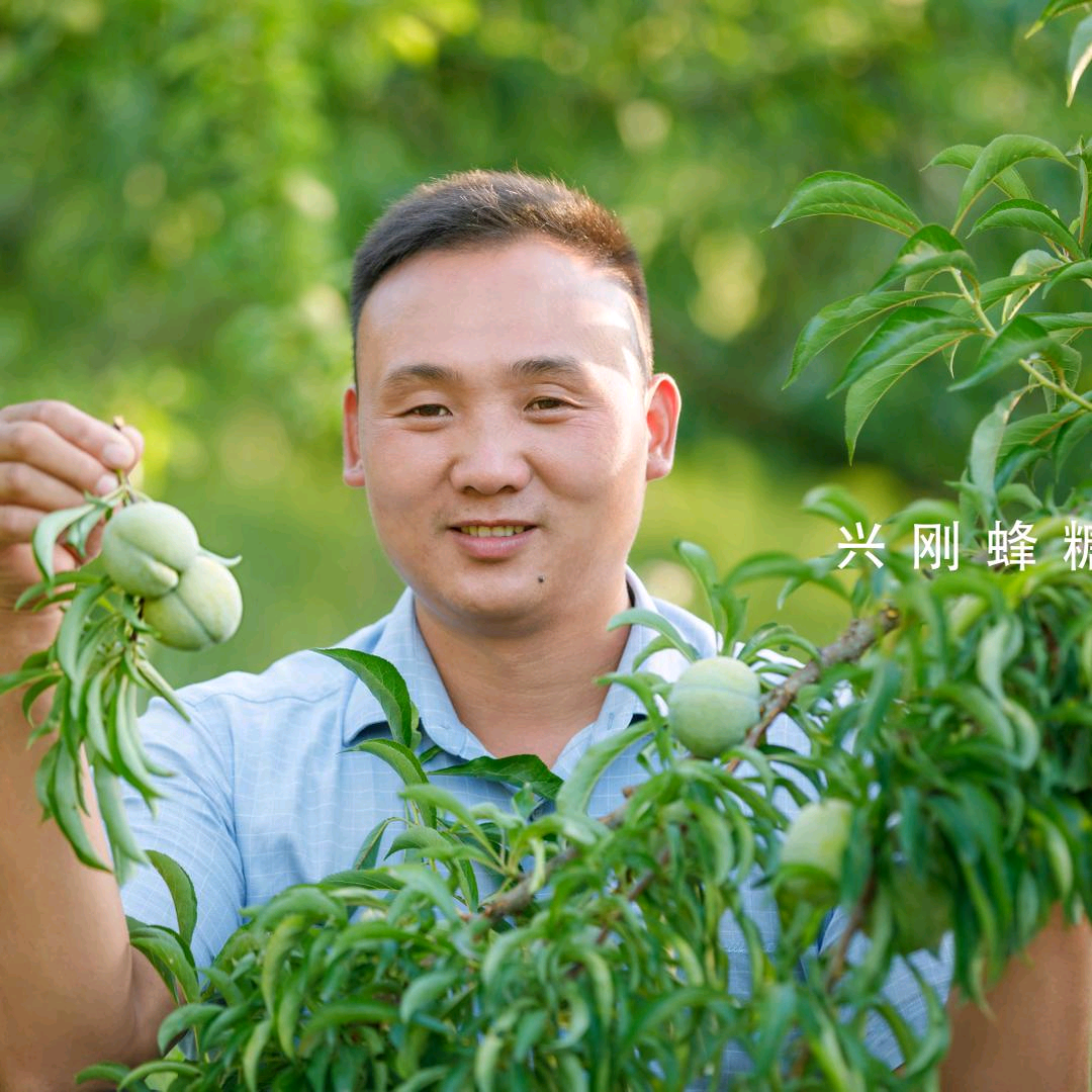 陕西蜂糖李种植技术交流讲解 群聊头像