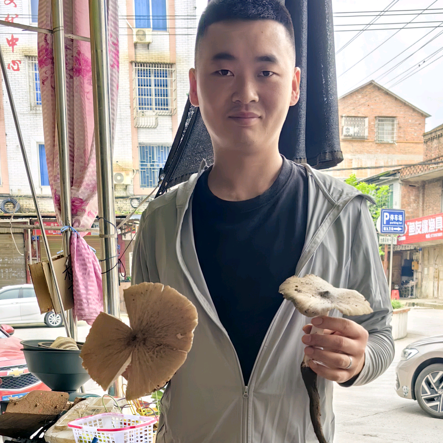 捡菌子爱好者交流群 群聊头像