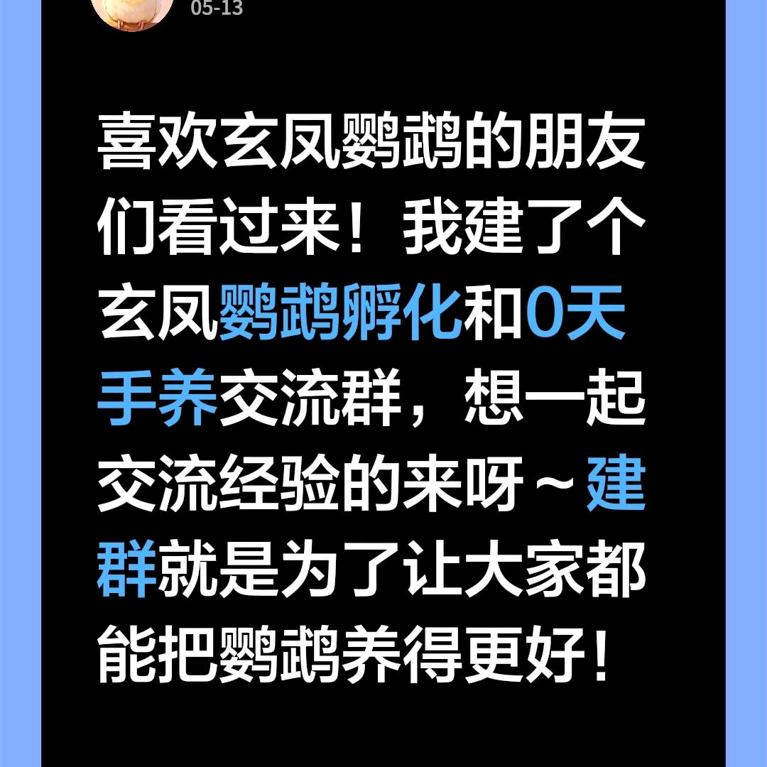 0天手养玄凤 群聊头像