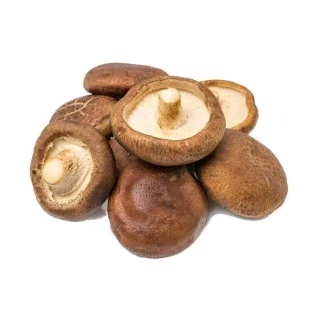 菌菌孢子 群聊头像