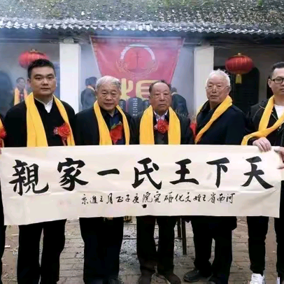 全国王氏家族群 群聊头像