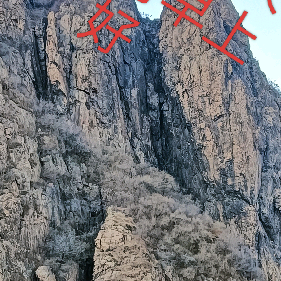 雄鹰户外 群聊头像