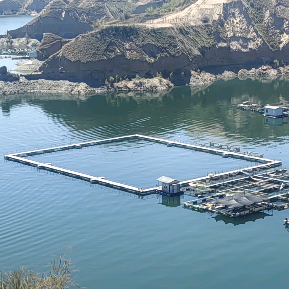 玉水舫路亚基地 群聊头像