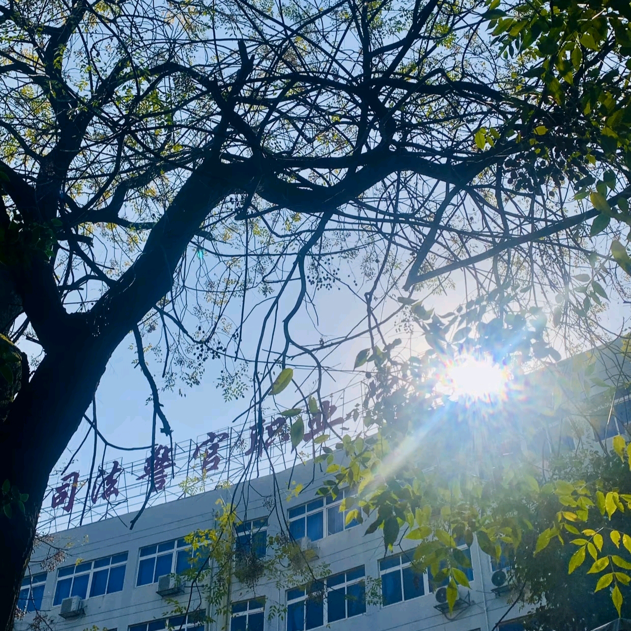 江西司法警官职业学院新生交流群 群聊头像
