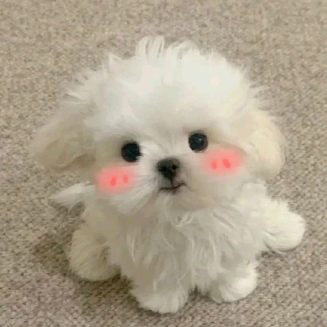今天画画了吗？ 群聊头像