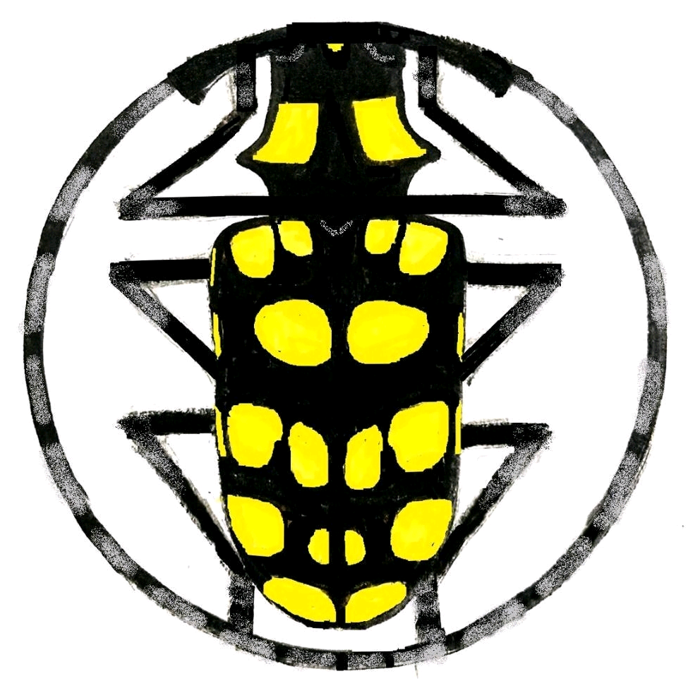【鉴定】昆虫鉴定交流群 群聊头像