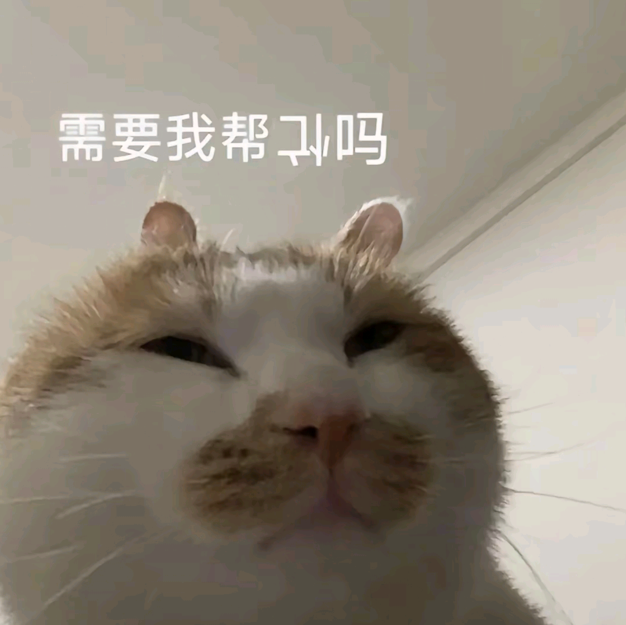 一起学ai(2群） 群聊头像