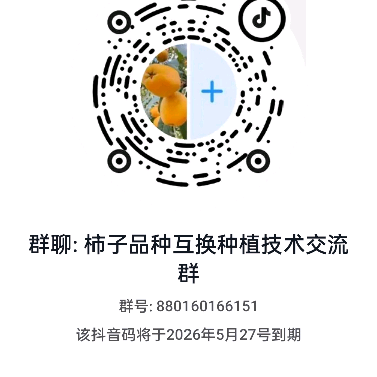 柿子品种互换种植技术交流群 群聊头像