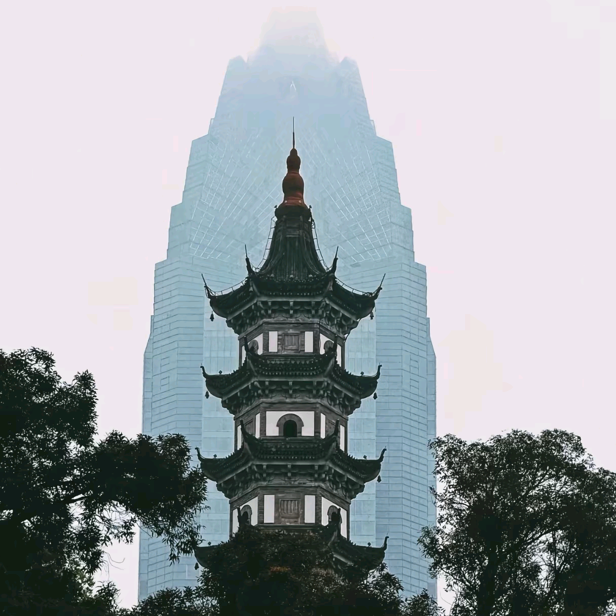 温州人在河南 群聊头像