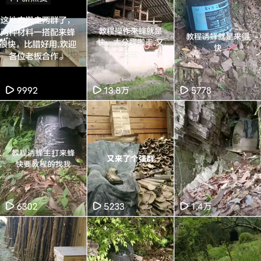 养蜂诱蜂 群聊头像