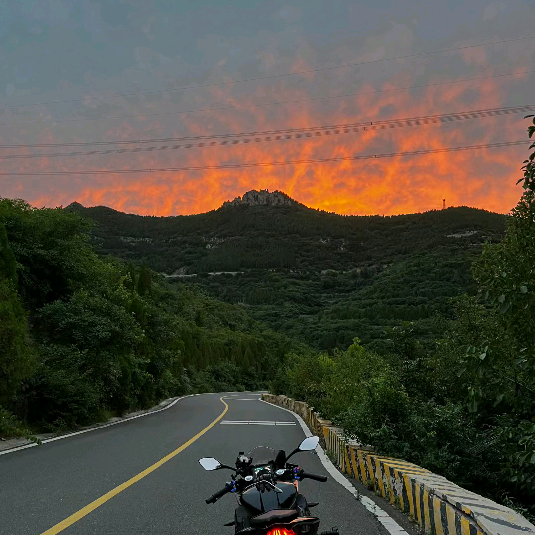 惊蛰🌿📷-追焦取图1群 群聊头像
