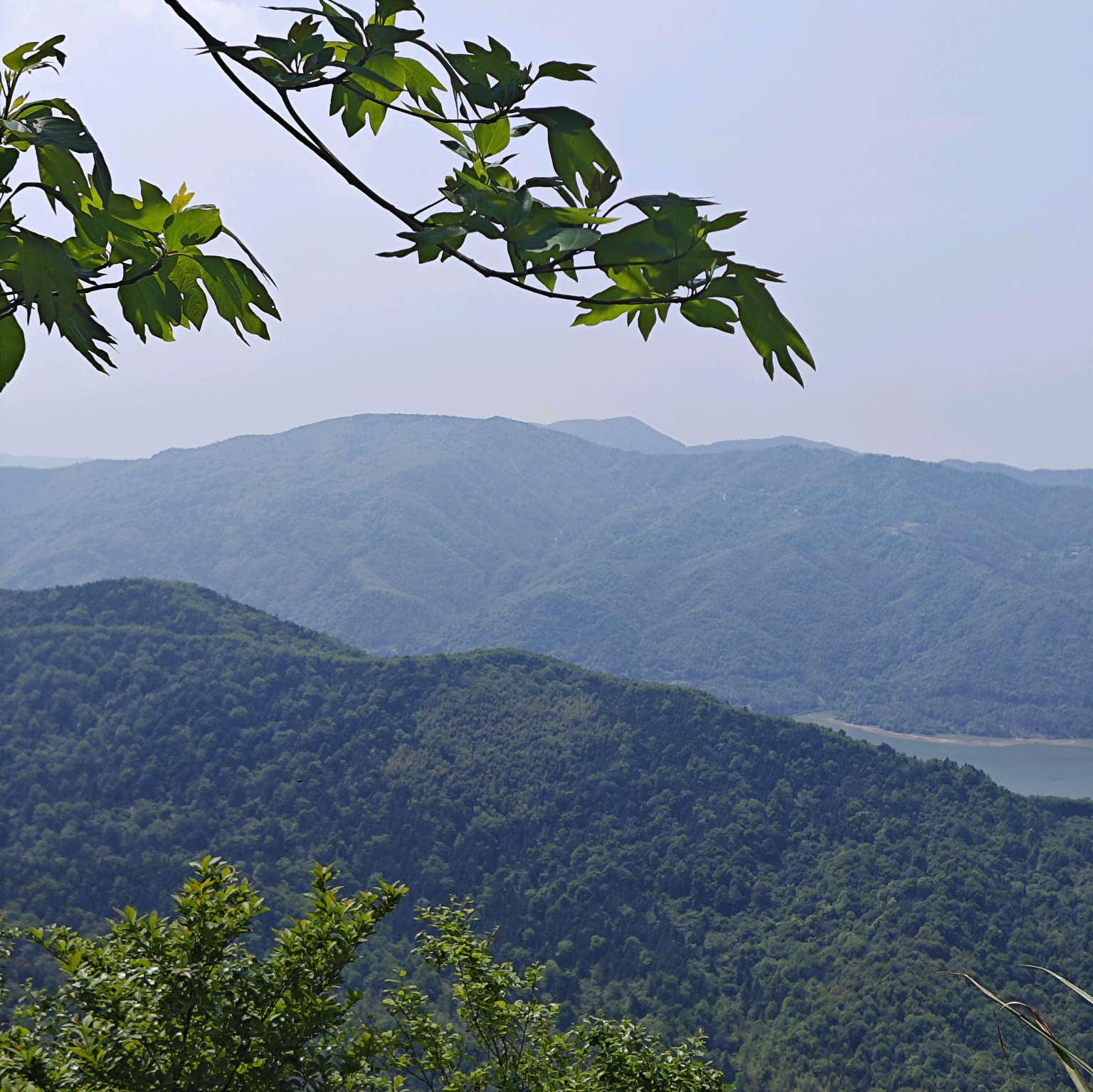 生活无解 山里撒野 群聊头像