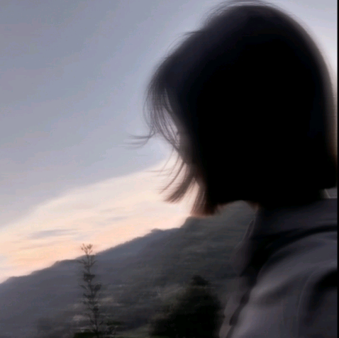 粉丝带马甲：012 群聊头像