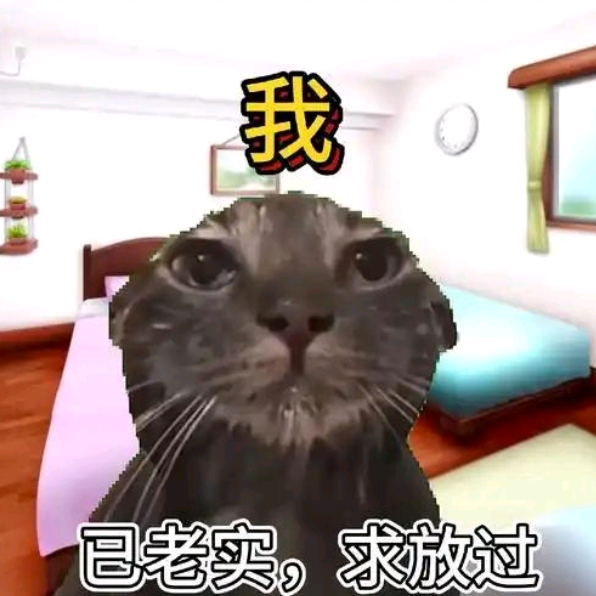 猫meme（奶酪）[催更群]更新通知 群聊头像