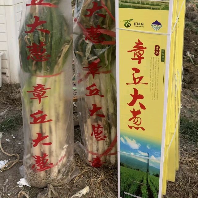 章丘大葱 群聊头像