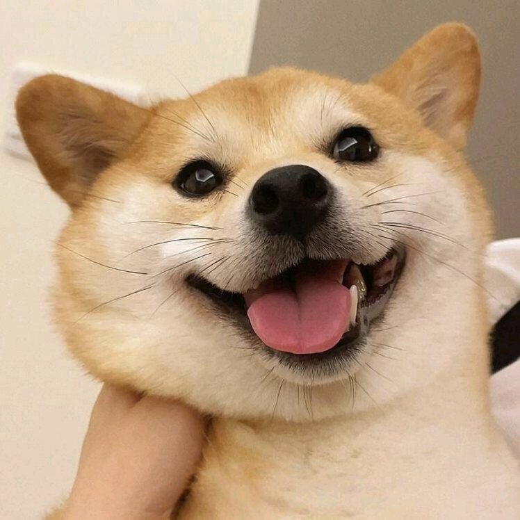 逆战未来开黑群 群聊头像