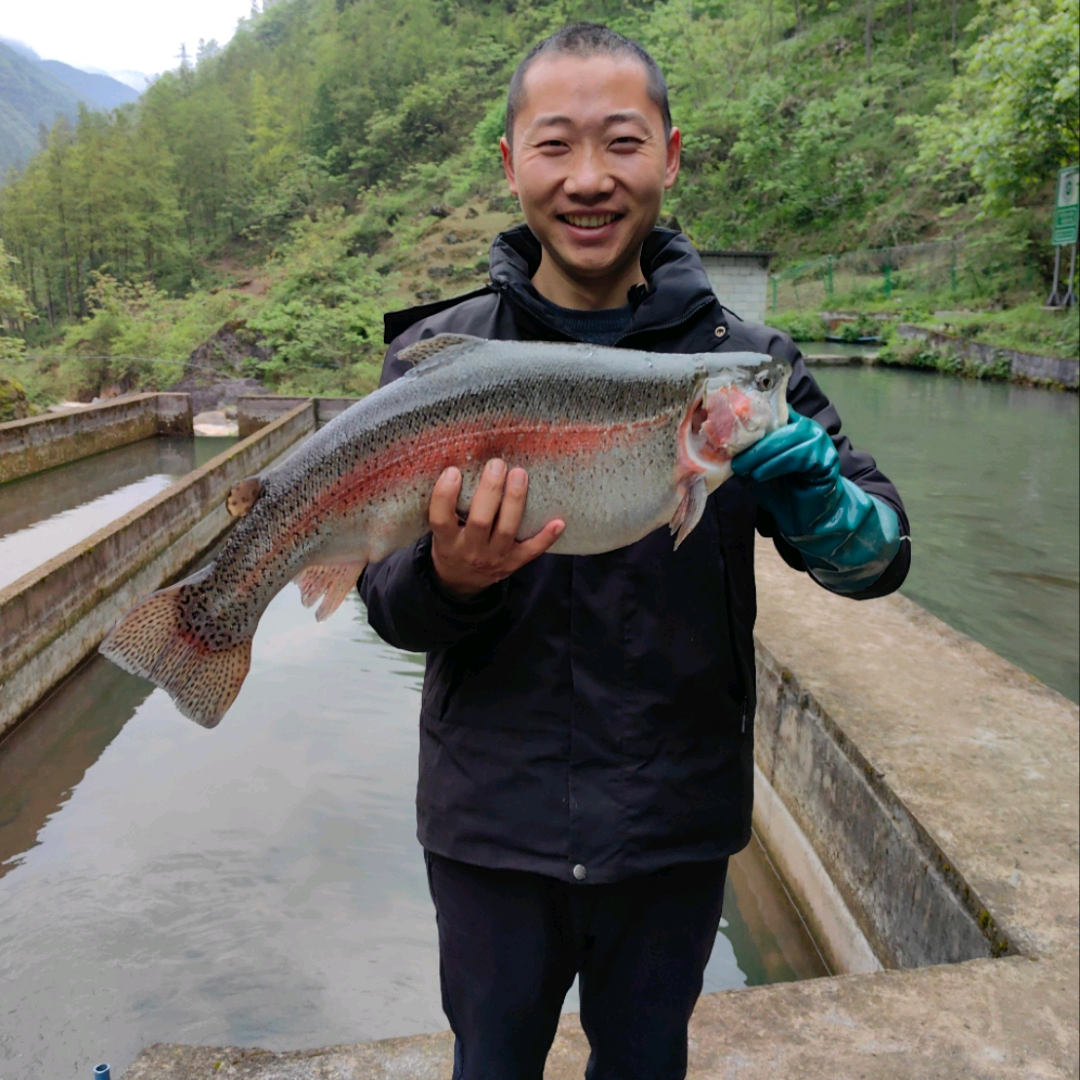 本地发活鱼 群聊头像