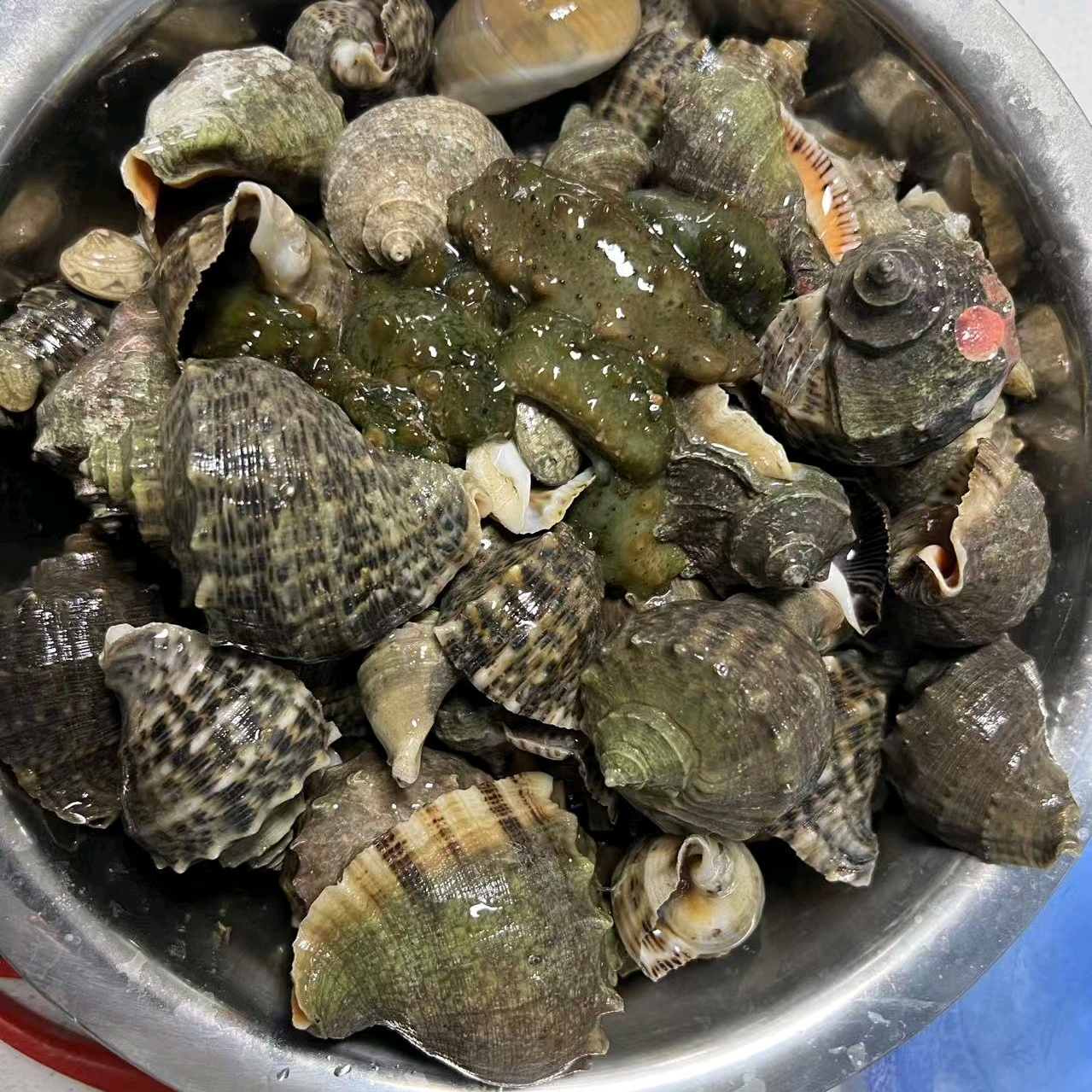 田横女岛赶海二群 群聊头像