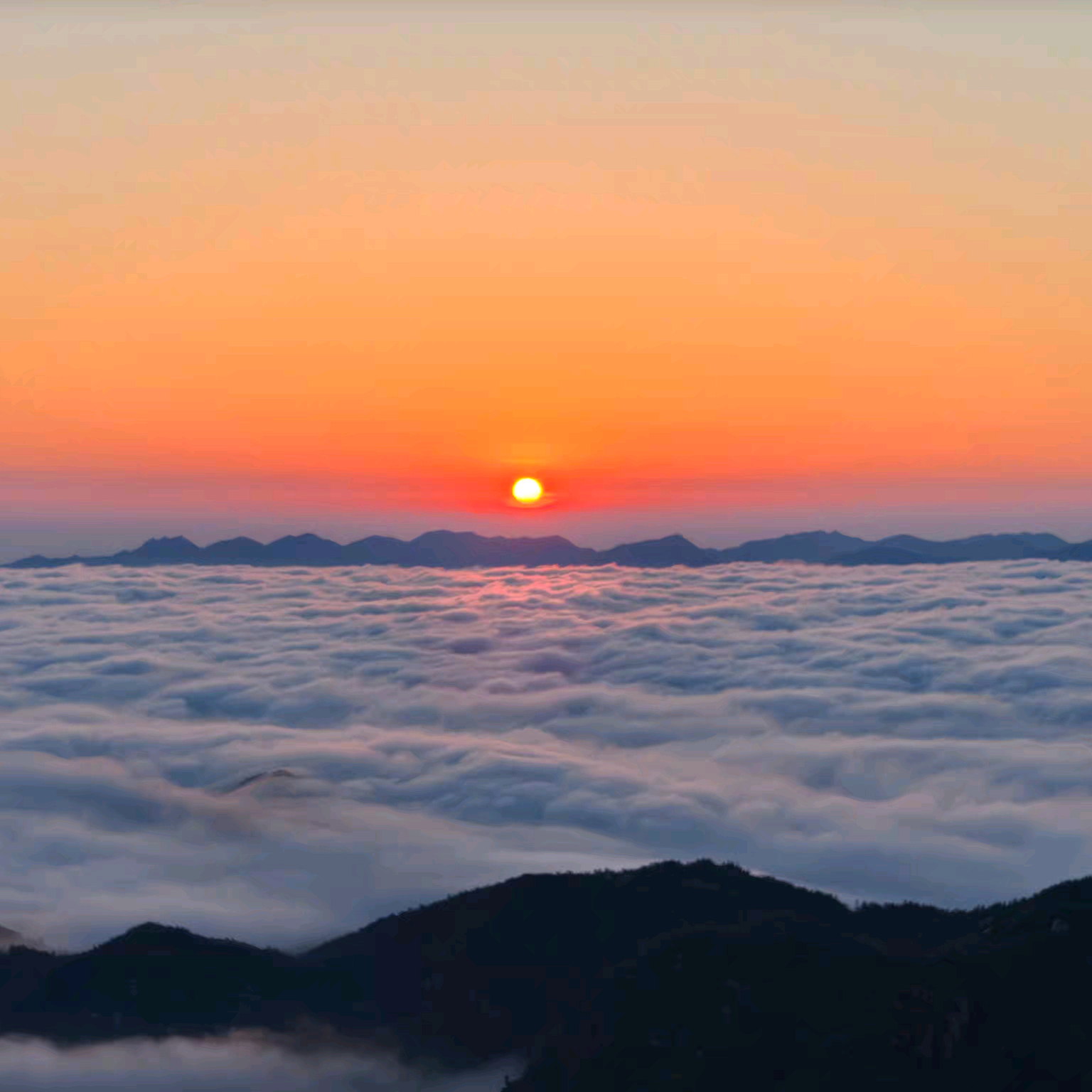 一起去露营 群聊头像