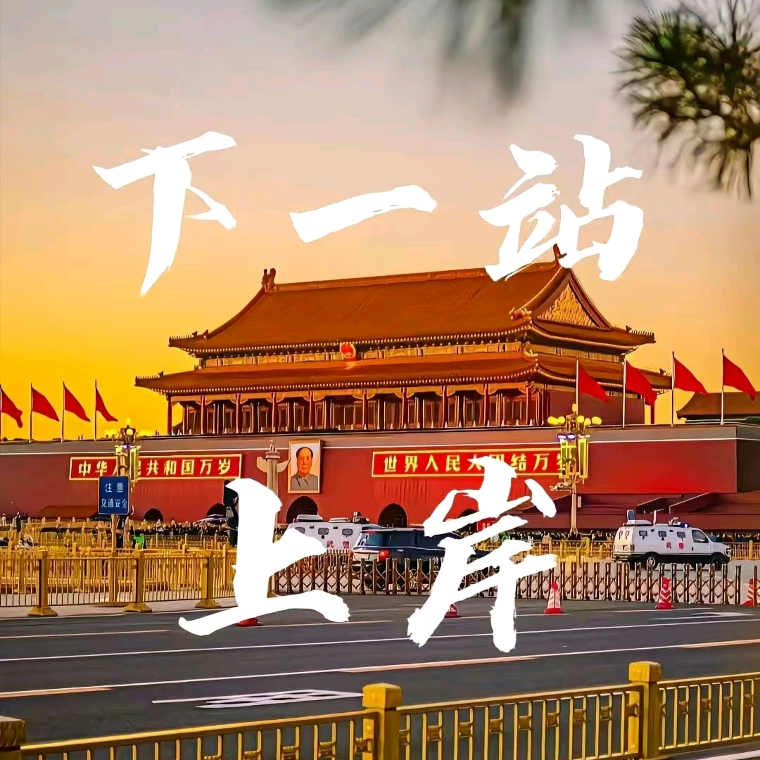 安安的上岸者联盟 群聊头像