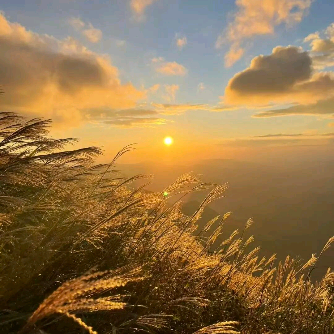 荒野纵队·咸宁站 群聊头像