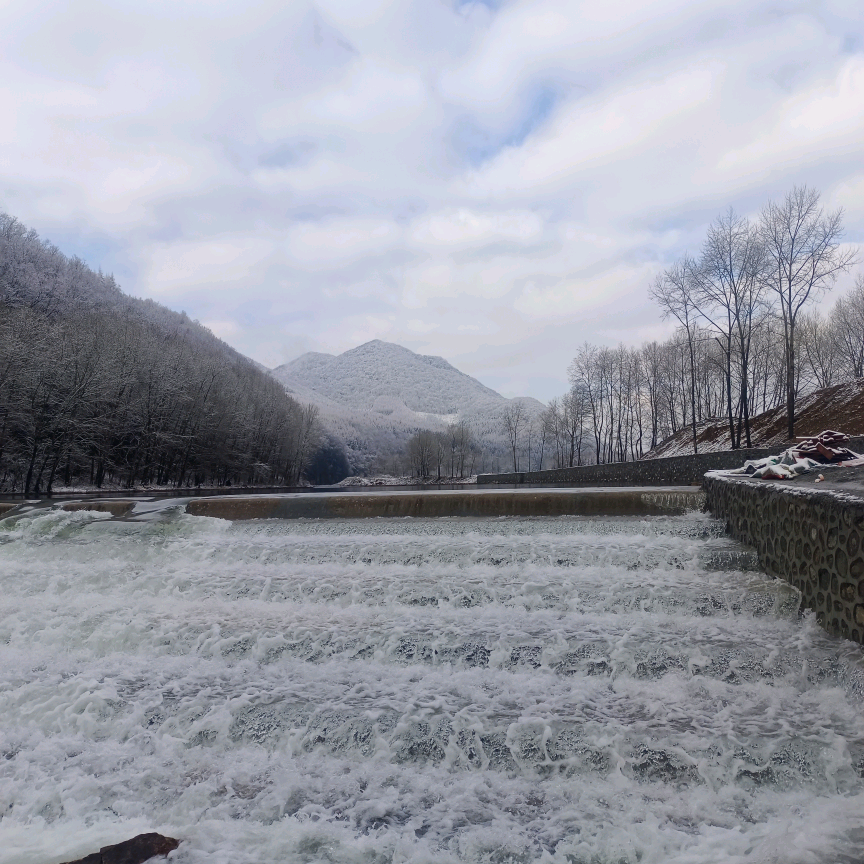 雅沐露营地《鱼鳞坝》 群聊头像