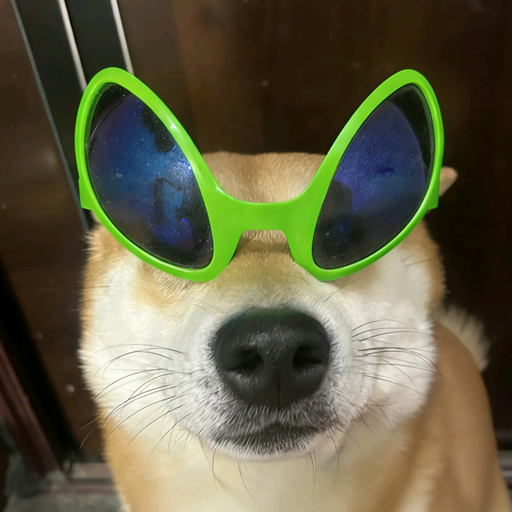 减肥观察者 群聊头像