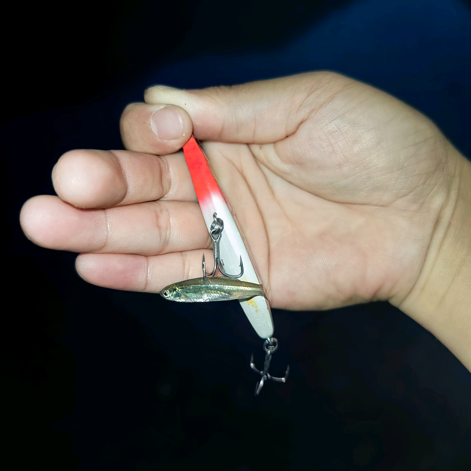 一起来钓鱼🎣 群聊头像