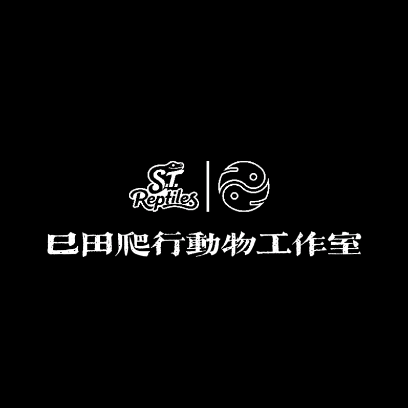 巳田爬宠交流群 群聊头像
