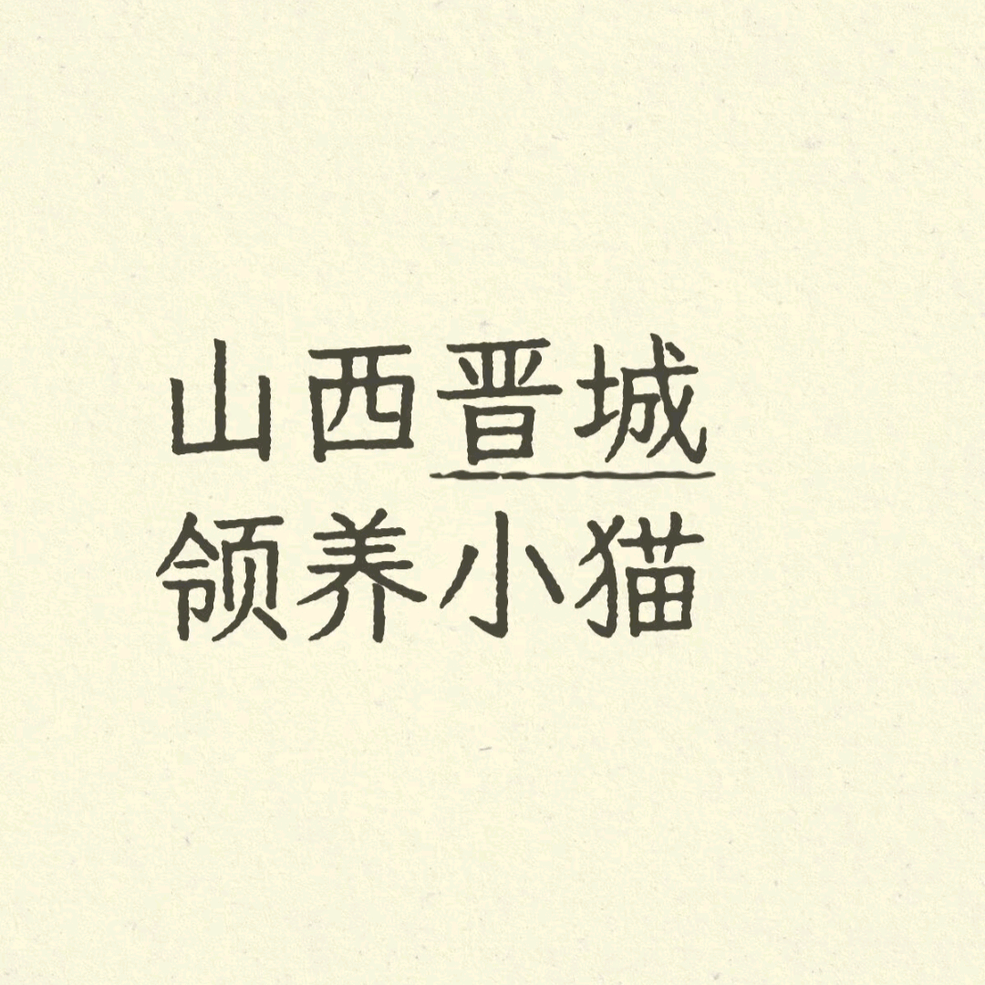 晋城小猫领养 群聊头像