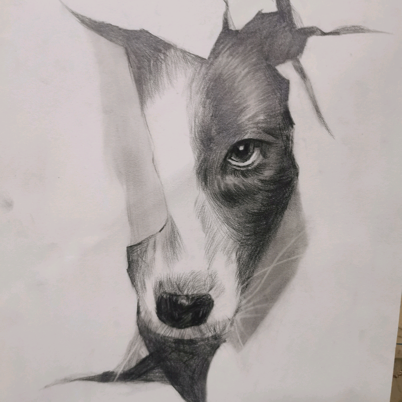 画画群 群聊头像