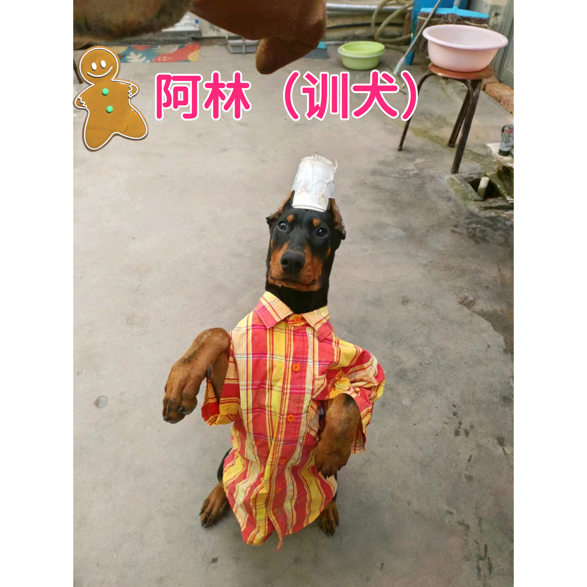 老朋友，老朋友 群聊头像