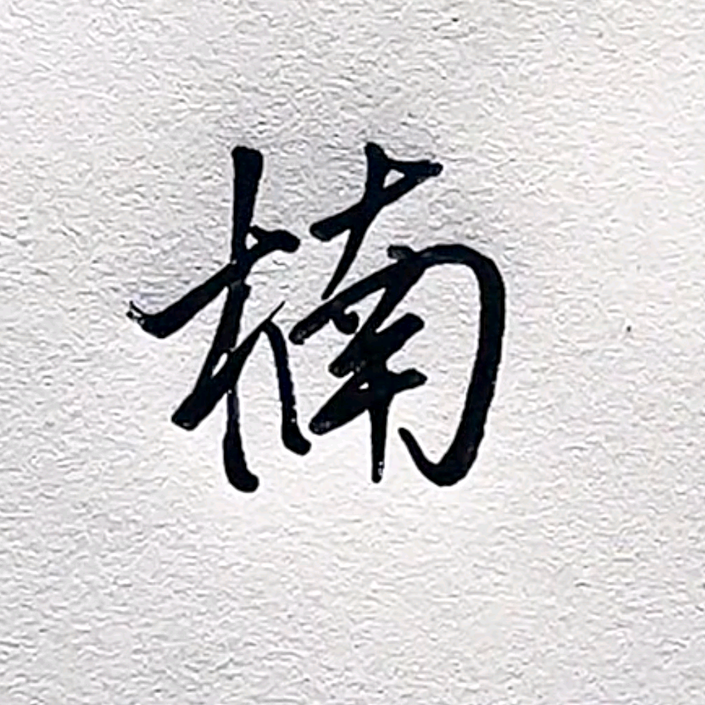 楠木数码交流群 群聊头像