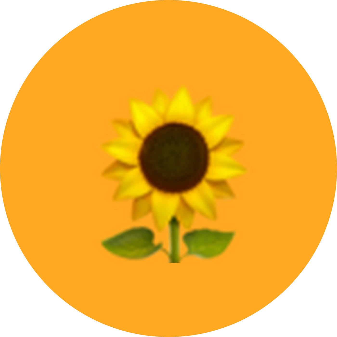 🌻電紫版资料请进 群聊头像
