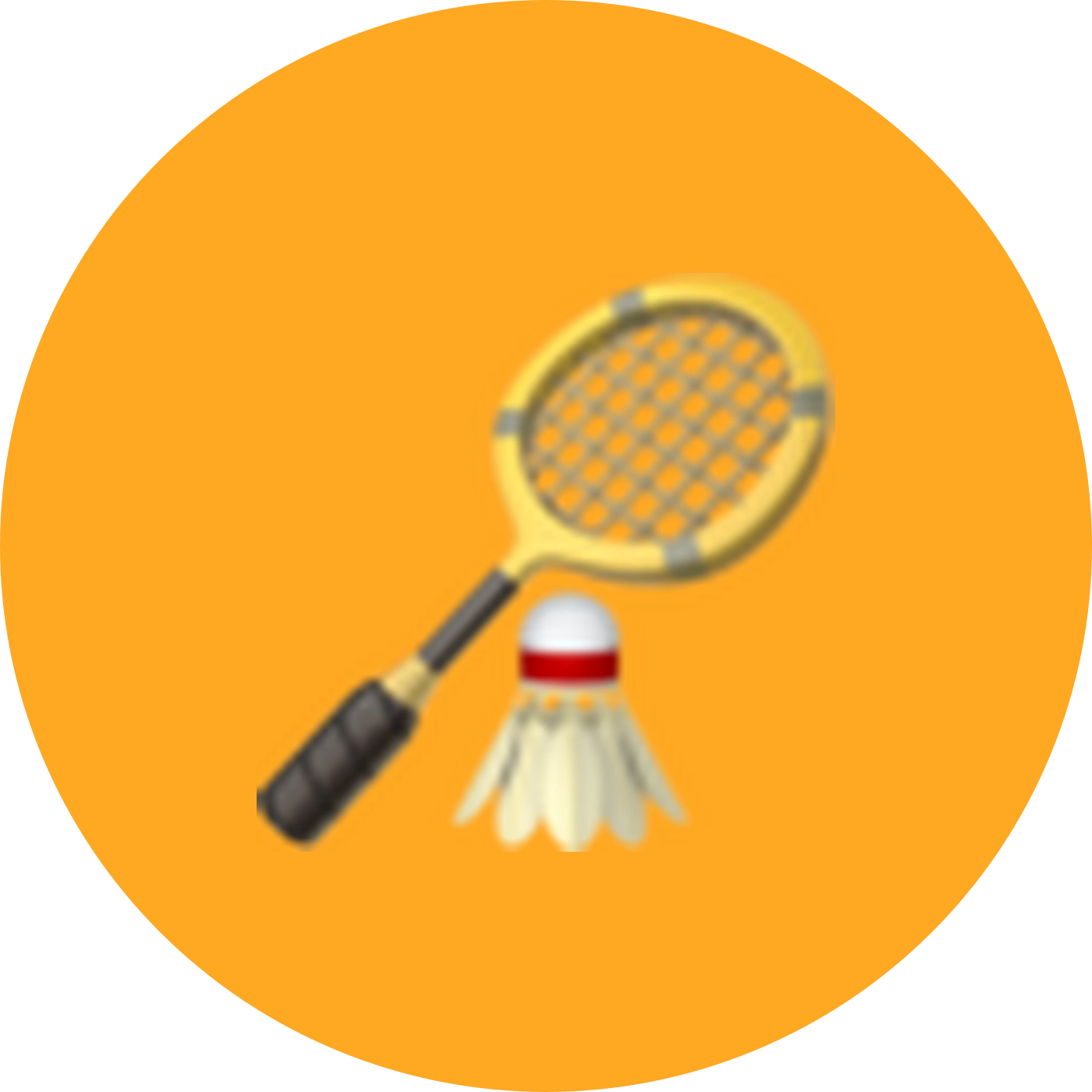🏸搭子（广州）2群 群聊头像