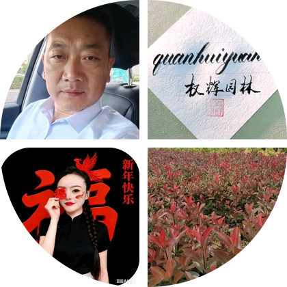 陈大超苗木交流群 群聊头像